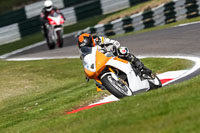 Middle Group Orange Bikes